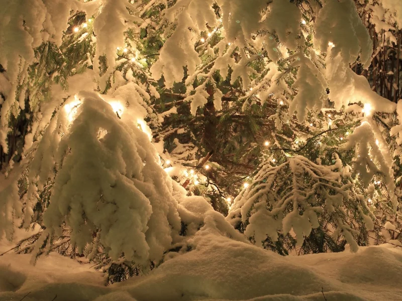 300, Зимой, winter