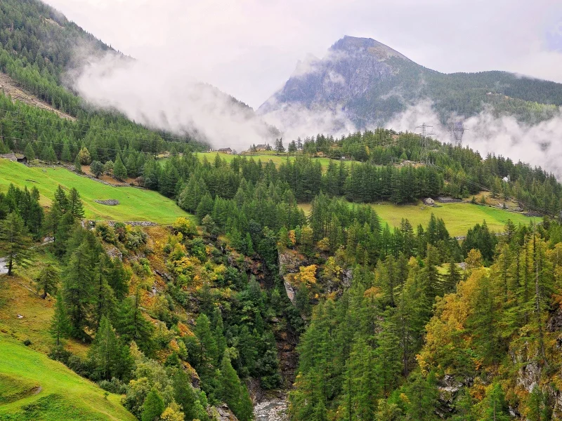 nature, природа