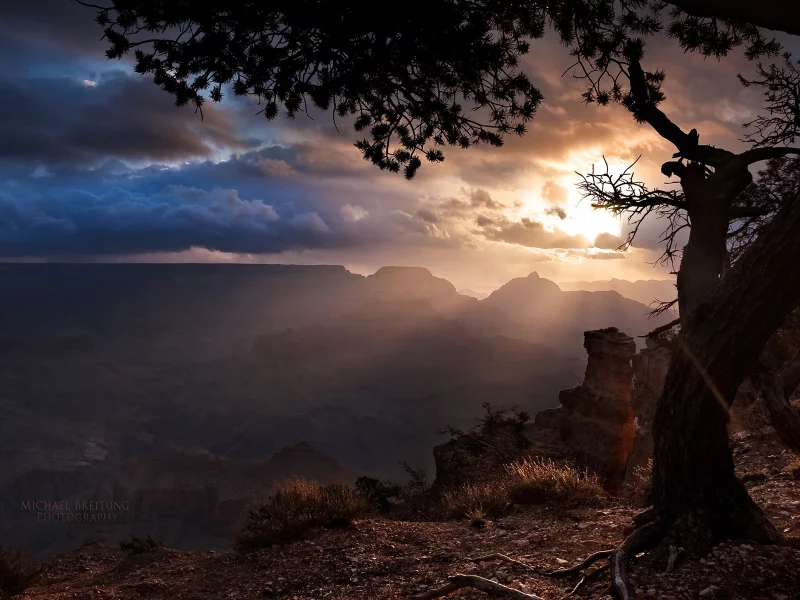 nature, природа