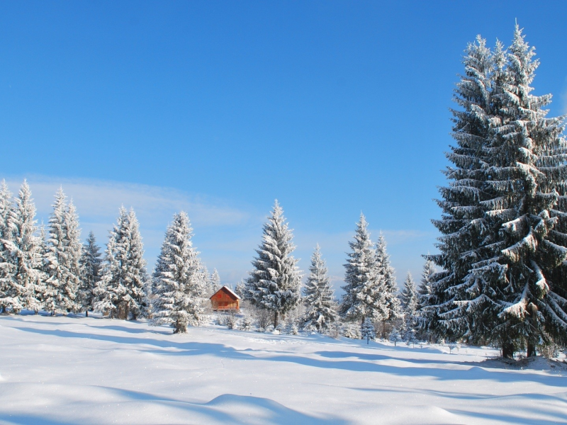 winter, landscapes, snow, снег, nature, природа, covered, пейзажи, зима, покрытый