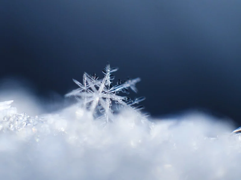 macro, снежинки, snow, зима, winter, макро, снег, snowflakes