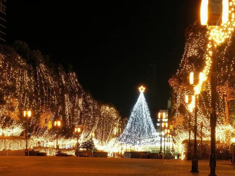 New Year, 2013, Новый год