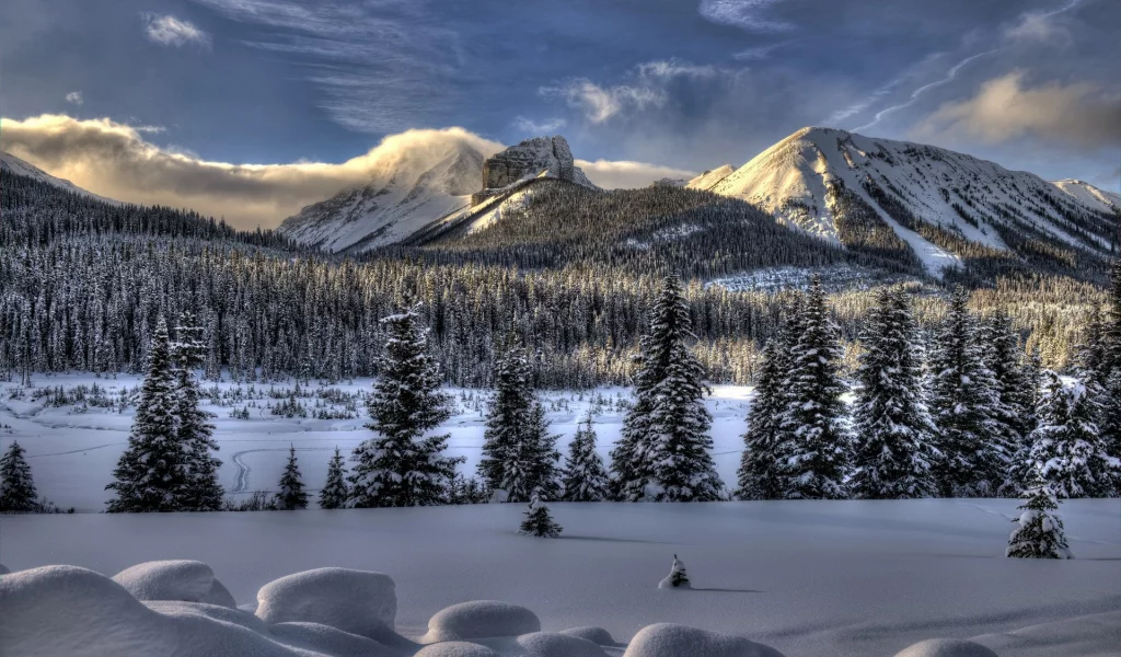 nature, природа