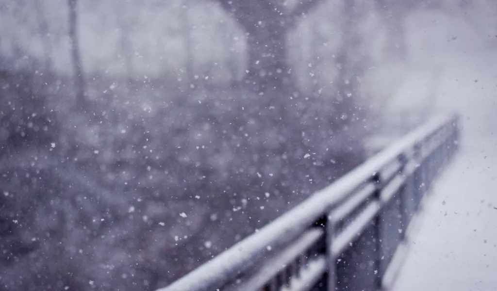 snow, bridges, деревья, мосты, trees, снег