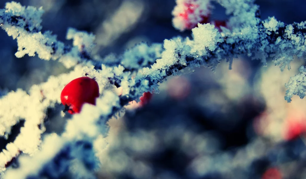 снег, snow