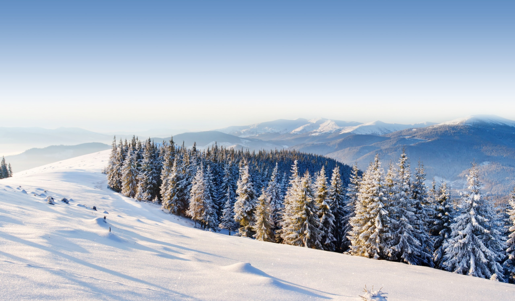 forest, winter, ice, moutain, mountains, snow, , trees, day