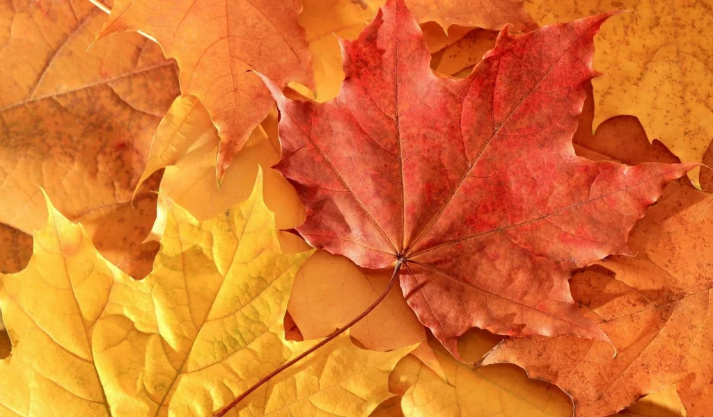 2013, nature, 2, природа