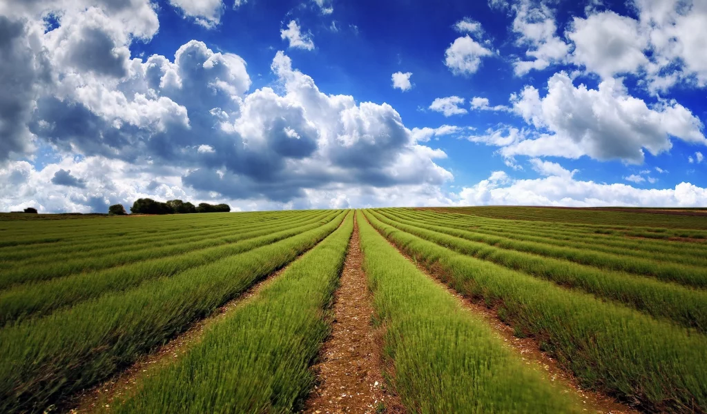 clouds, fields, 