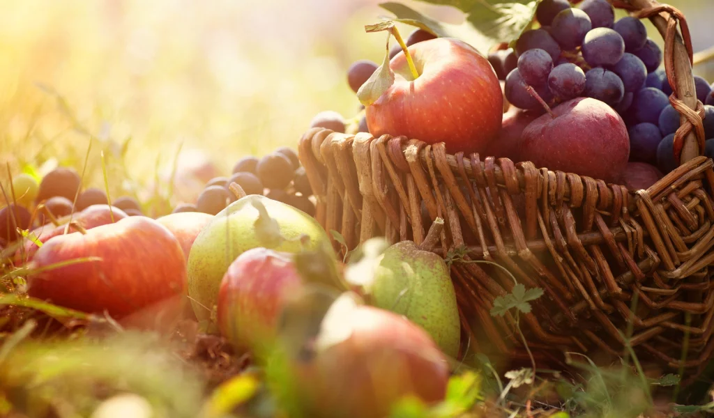 fruits, фрукты