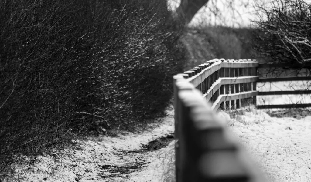 зима, trees, fences, nature, depth of field, заборы, глубина резкости, природа, деревья, grayscale, оттенки серого, winter, snow, снег