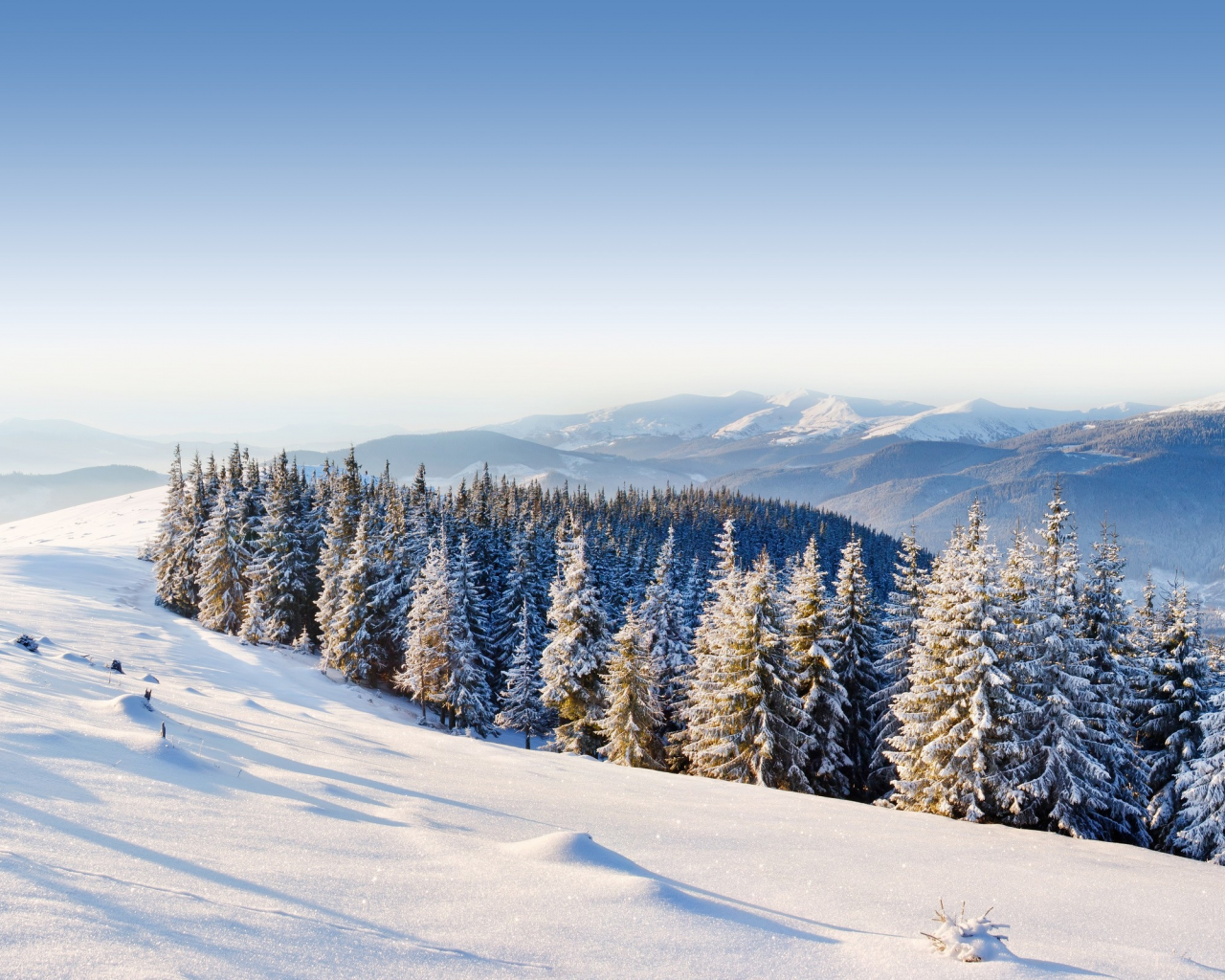 forest, winter, ice, moutain, mountains, snow, , trees, day