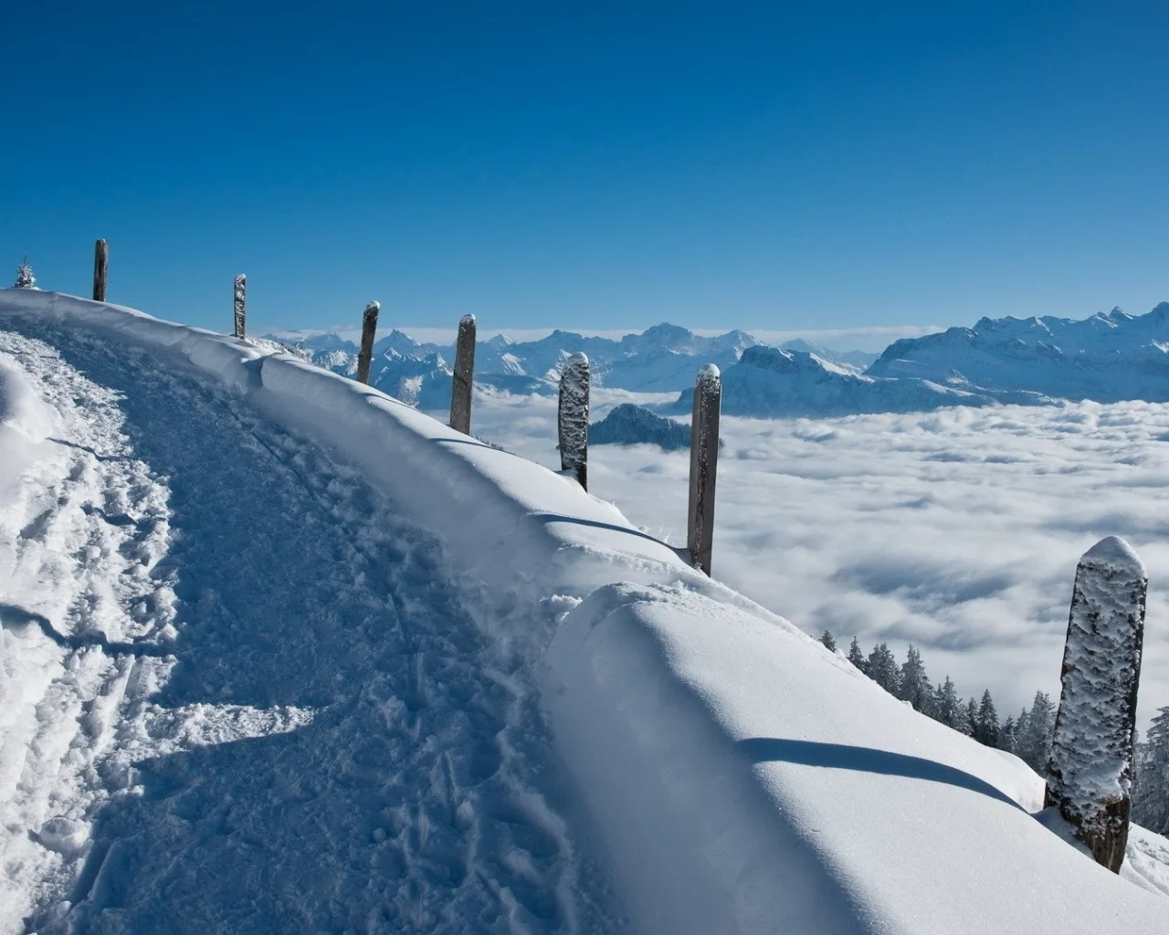 зима, winter