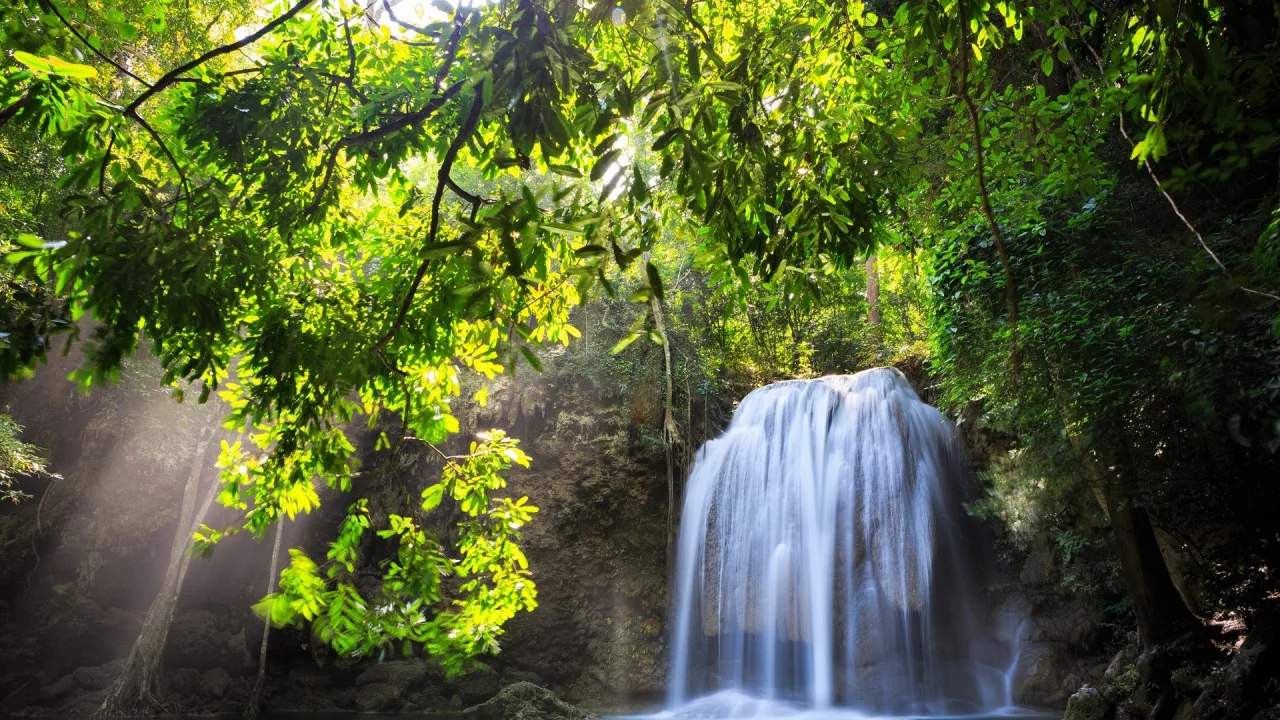 trees, , landscapes, nature, waterfalls