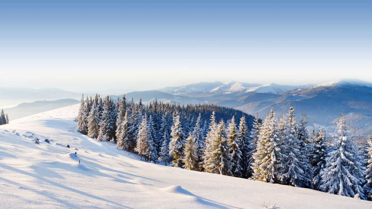 forest, winter, ice, moutain, mountains, snow, , trees, day