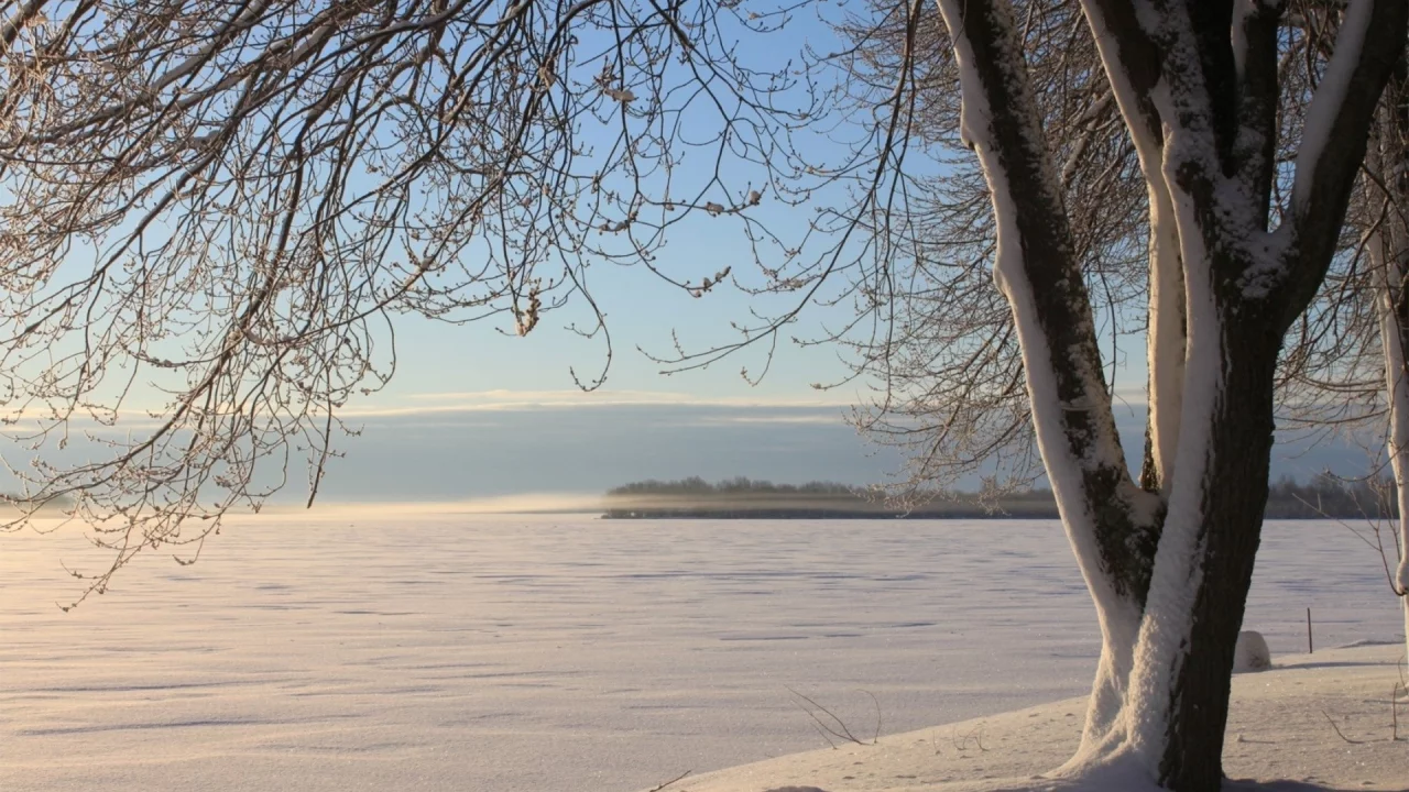 2013, природа, nature, 2