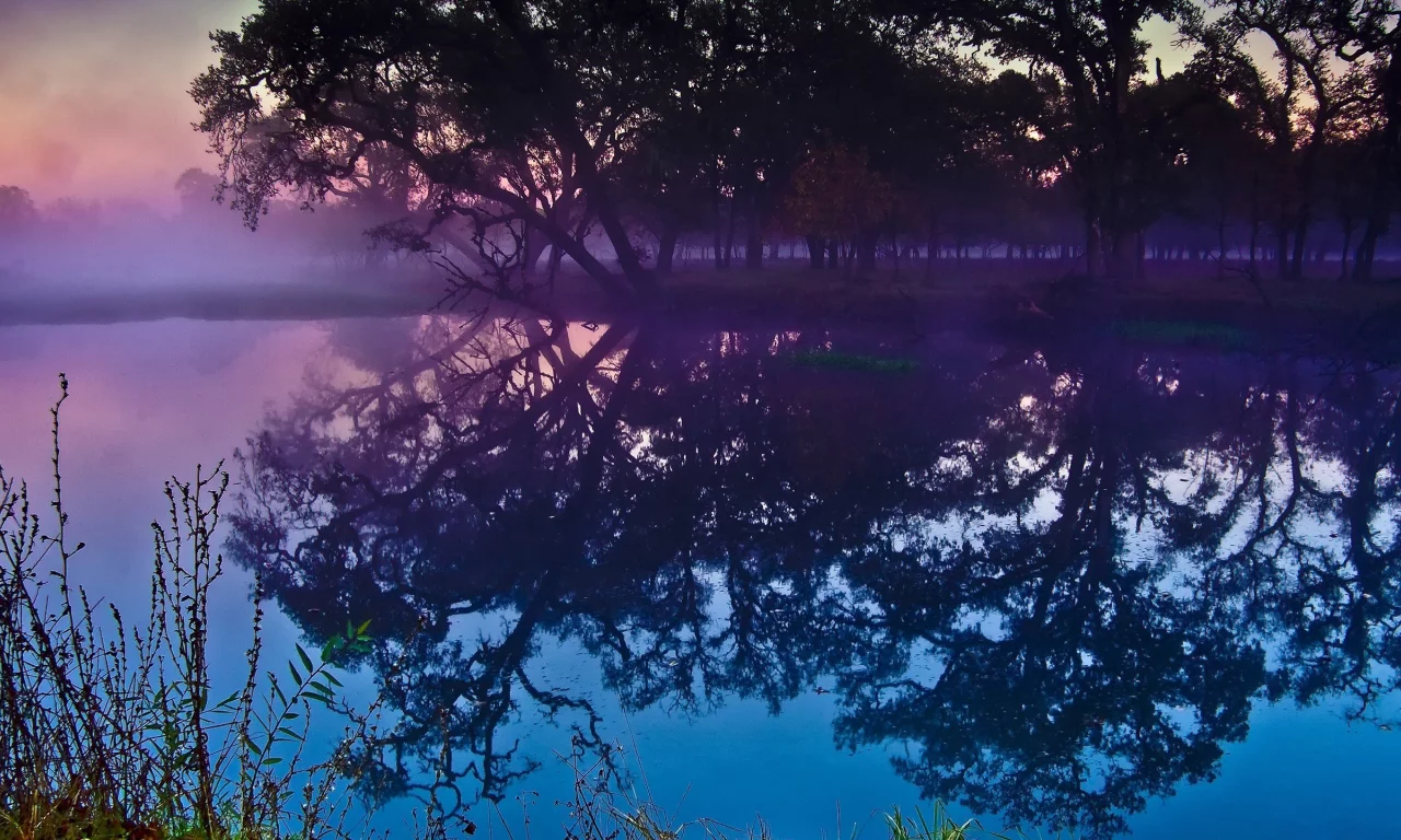 nature, пышные, природа, sunset, trees, закат, water, деревья, вода, curvy