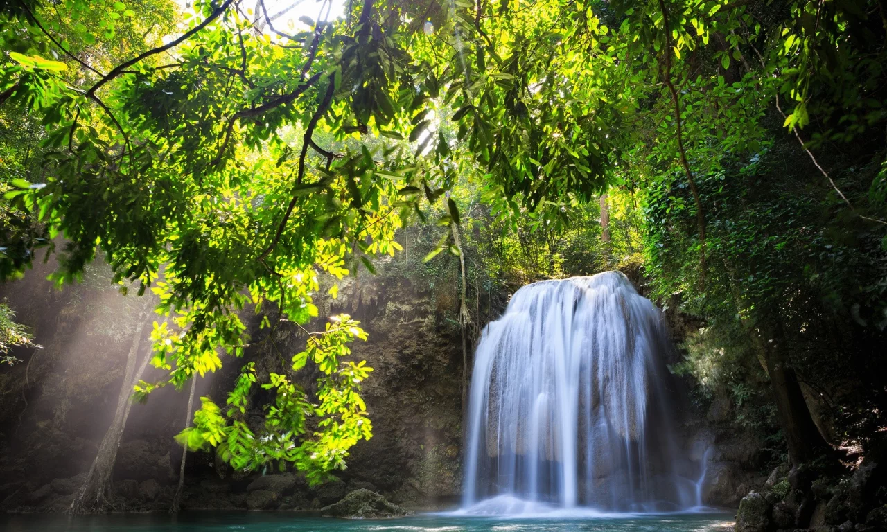 trees, , landscapes, nature, waterfalls