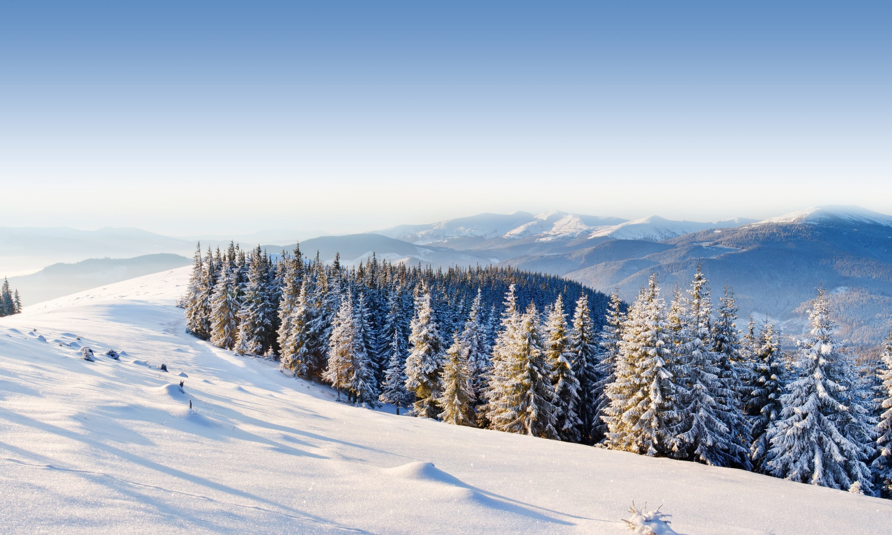 forest, winter, ice, moutain, mountains, snow, , trees, day