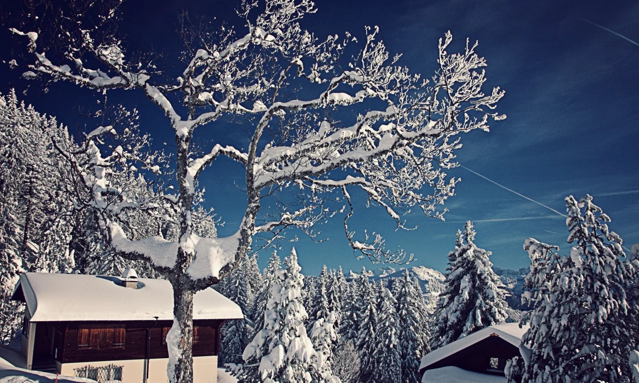 2, nature, 2013, природа