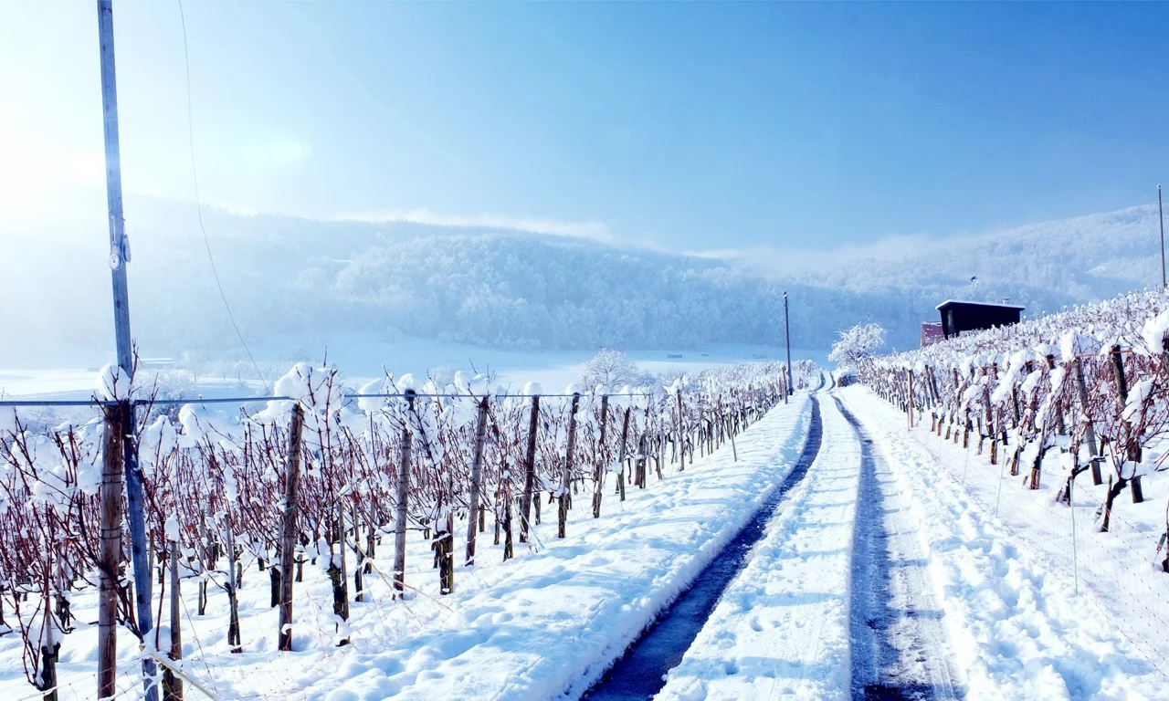winter, зима