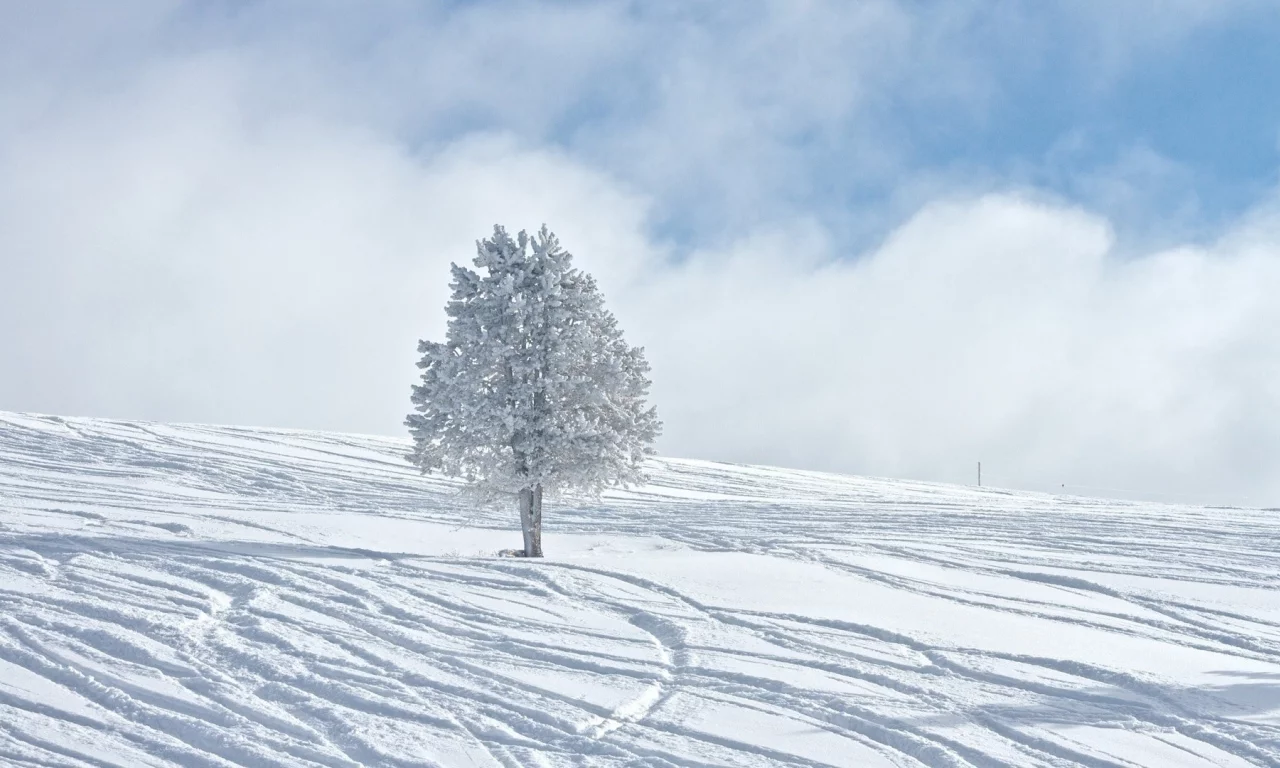 зима, winter