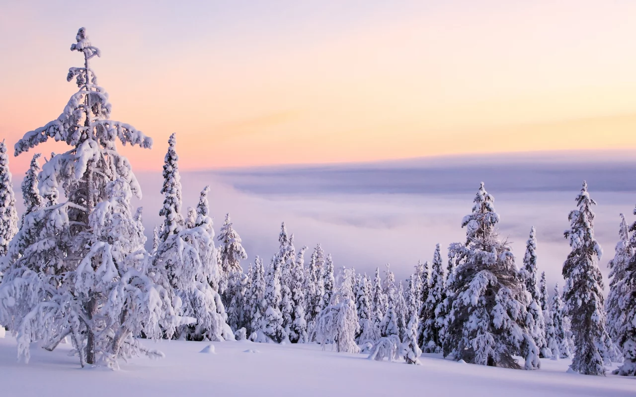 , ice, snow