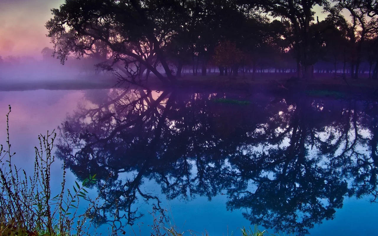 nature, пышные, природа, sunset, trees, закат, water, деревья, вода, curvy