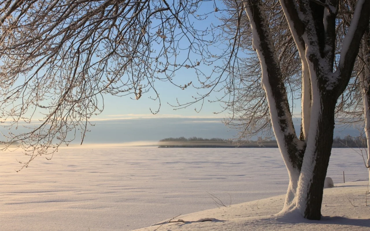 2013, природа, nature, 2