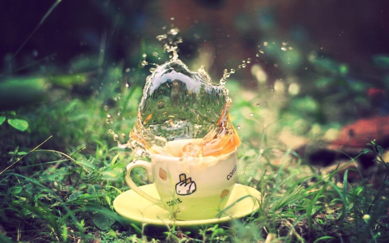 , macro