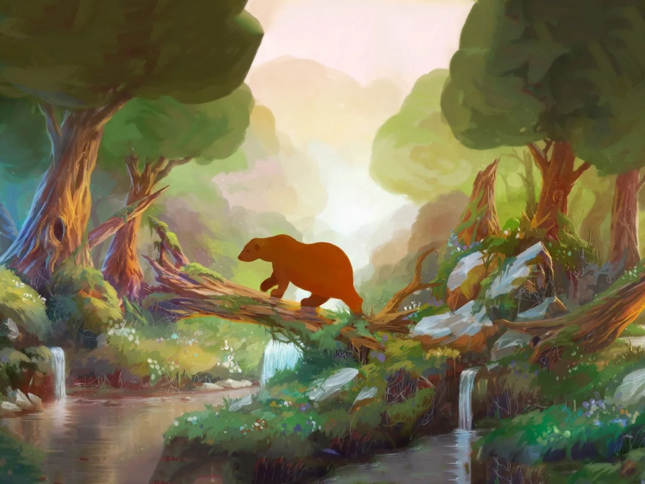 , bears