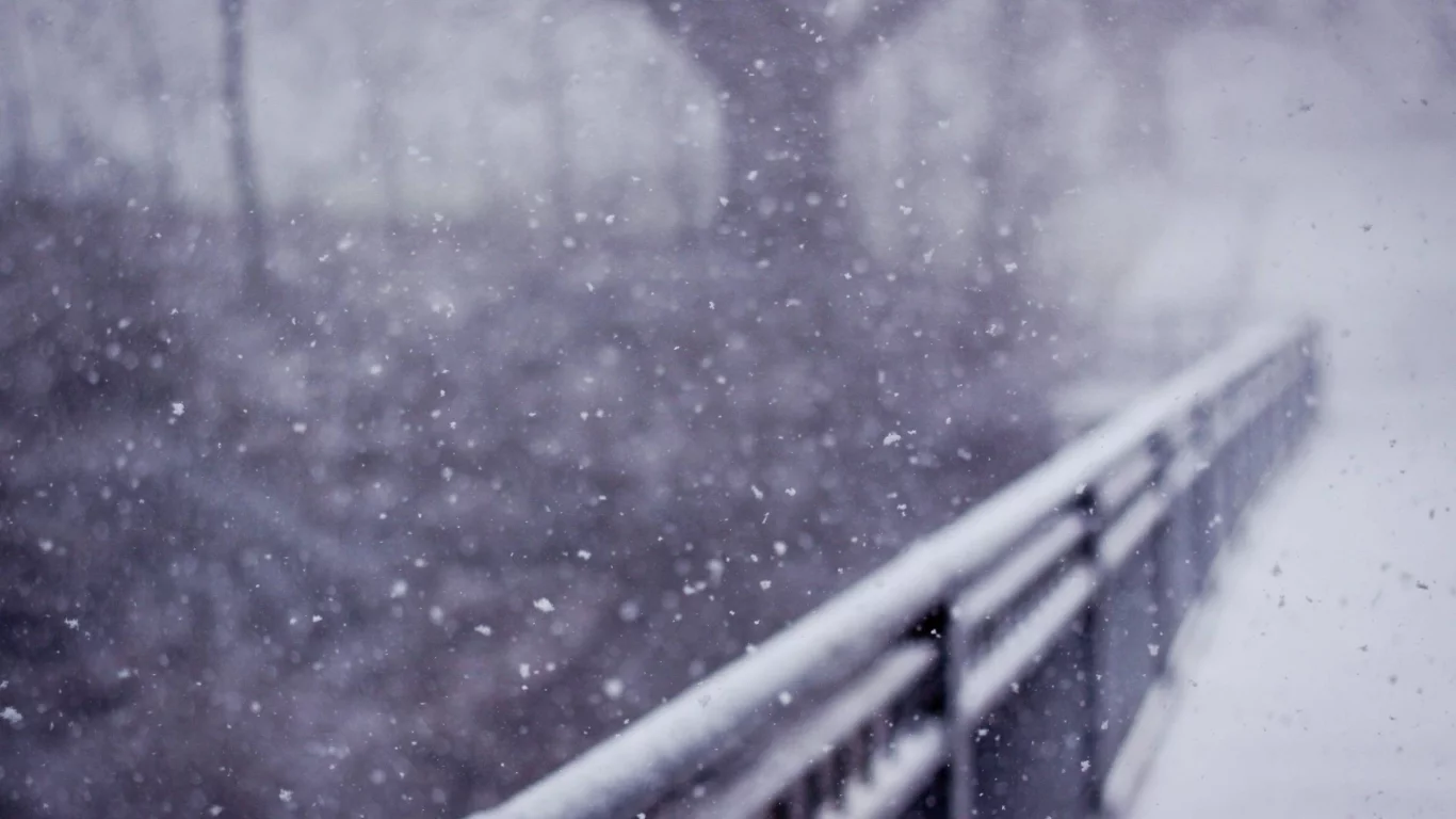 snow, bridges, деревья, мосты, trees, снег