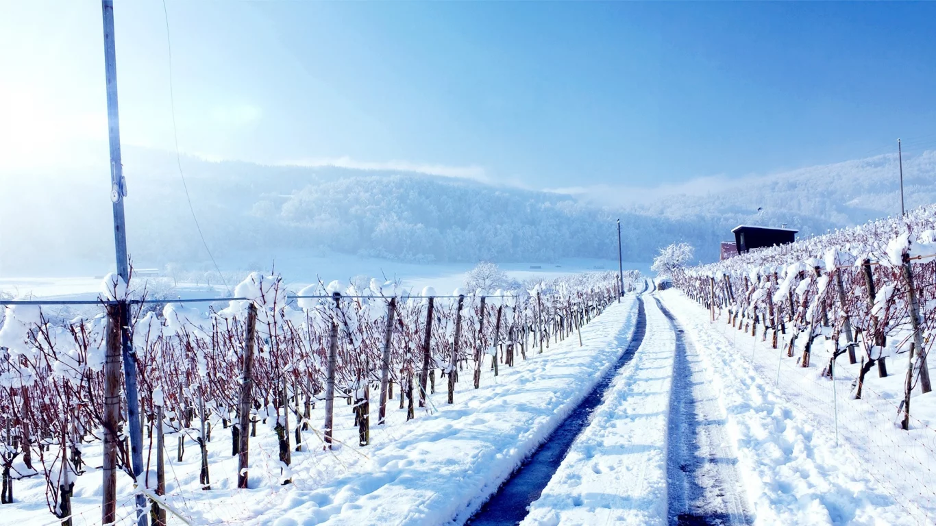 winter, зима