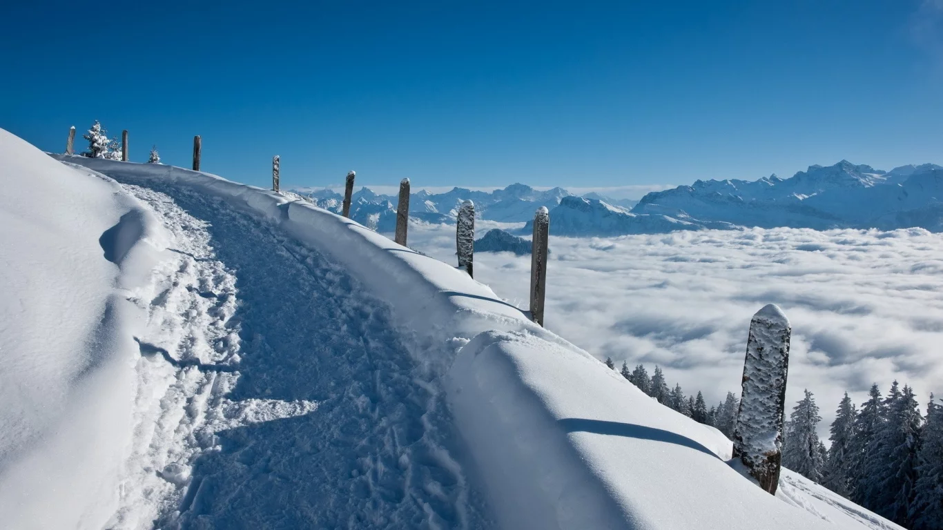 зима, winter