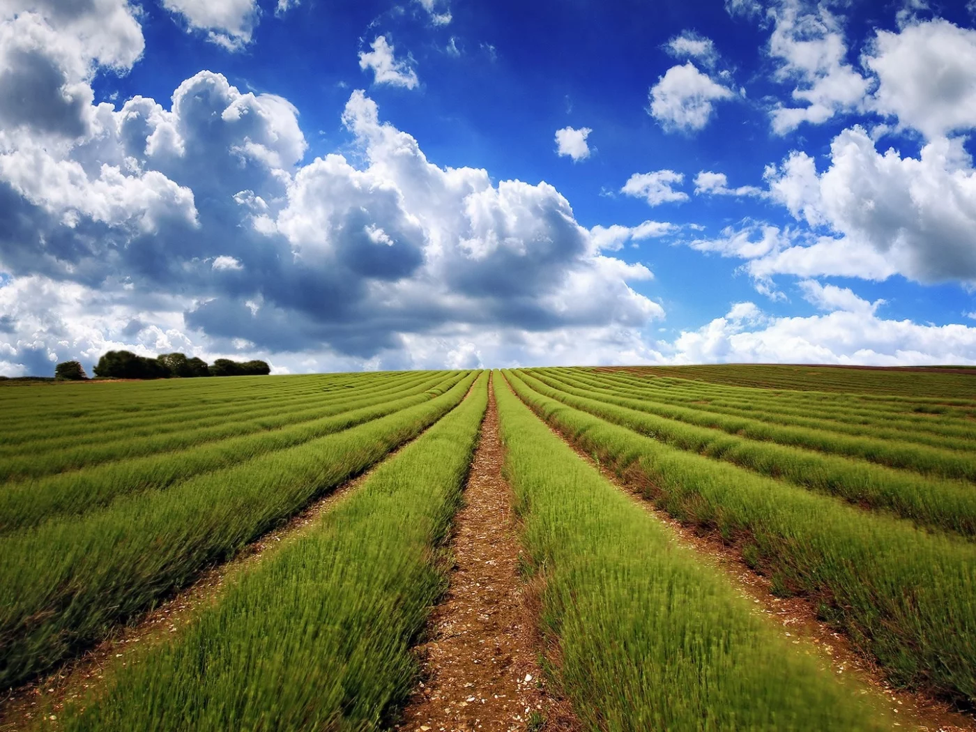 clouds, fields, 