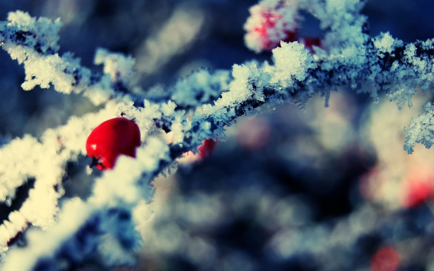 снег, snow