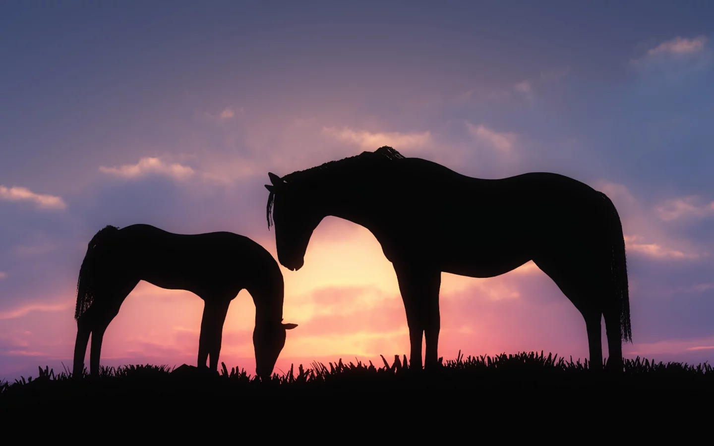 horses, 
