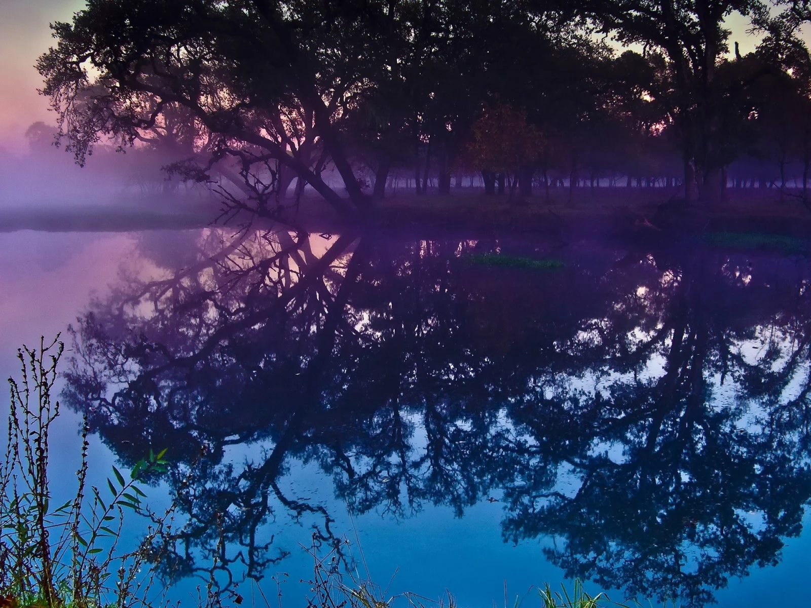 nature, пышные, природа, sunset, trees, закат, water, деревья, вода, curvy
