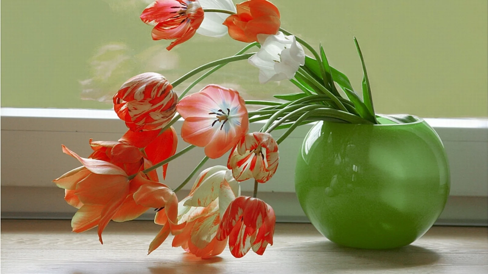 , flowers