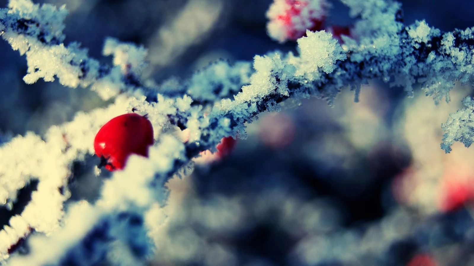 снег, snow
