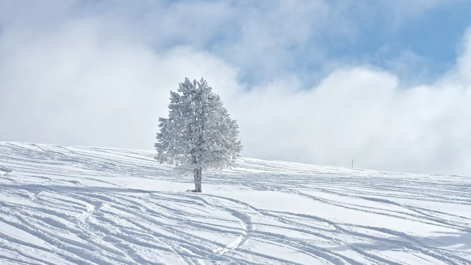 зима, winter