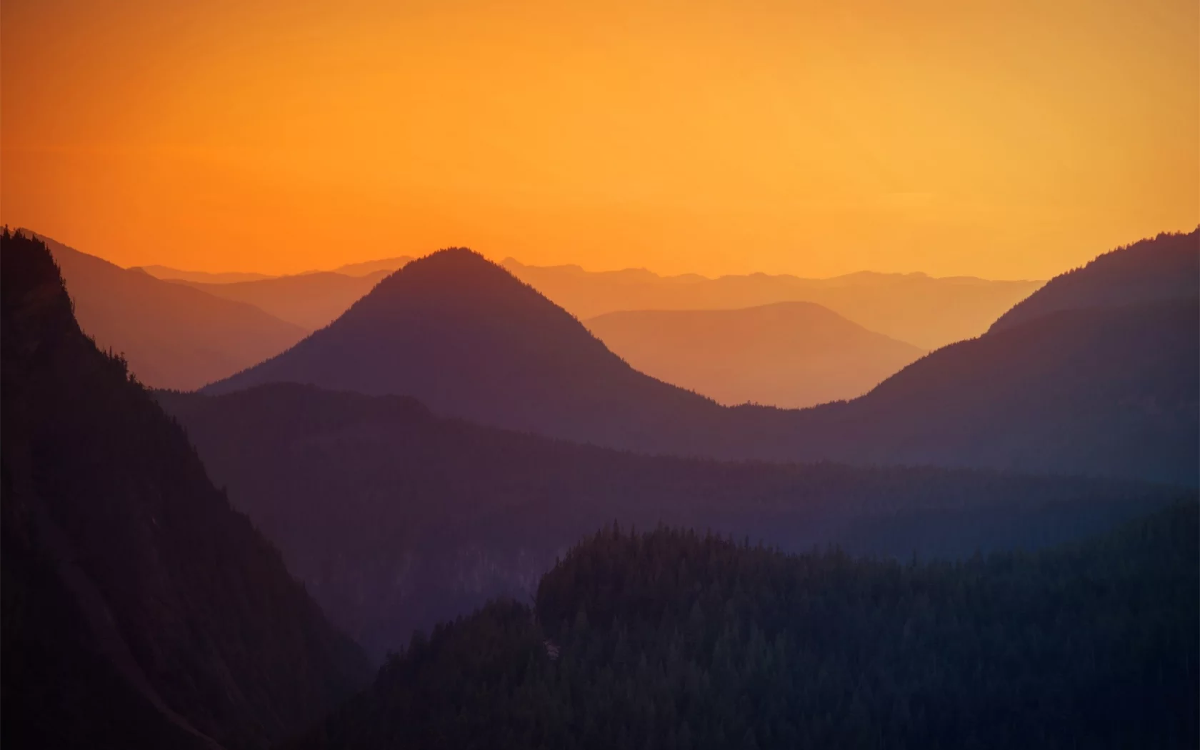 nature, природа