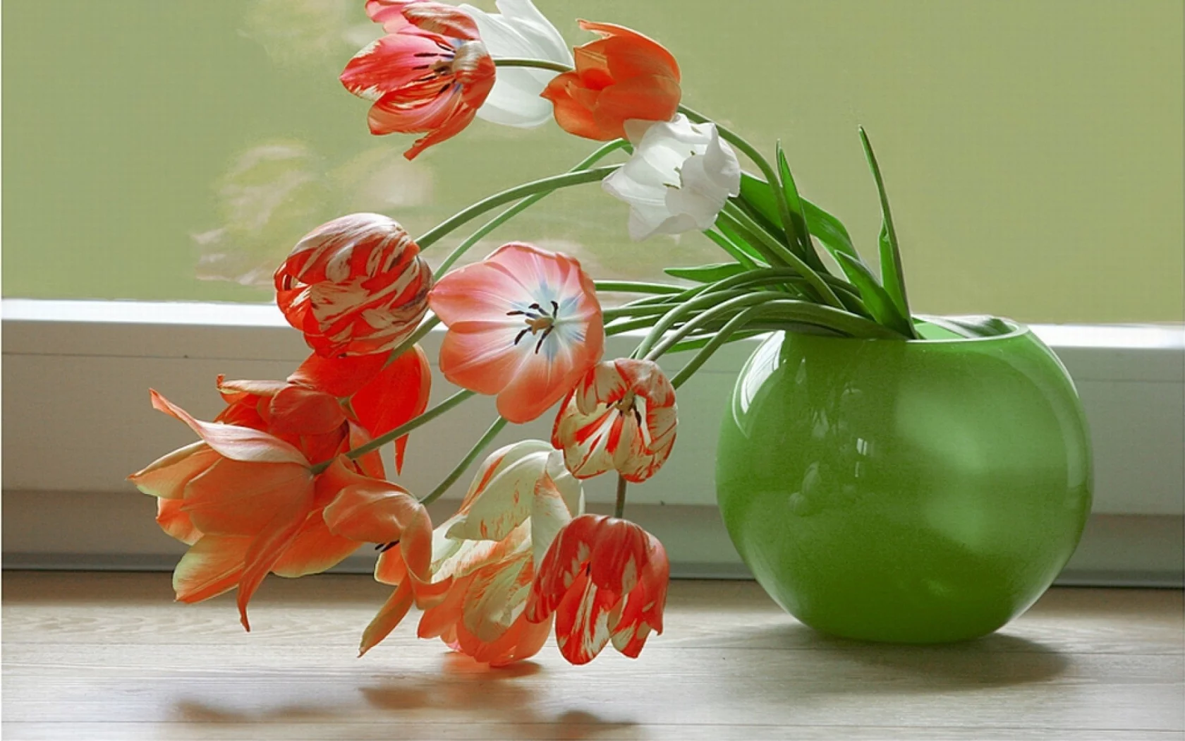 , flowers