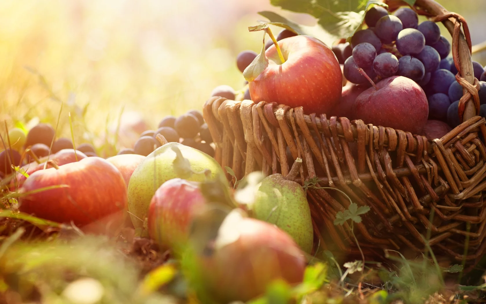 fruits, фрукты