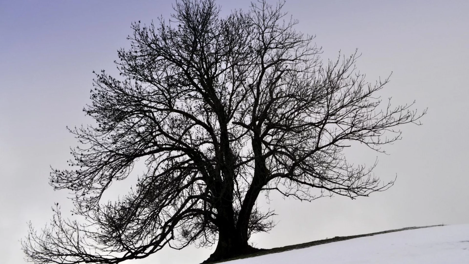 природа, nature