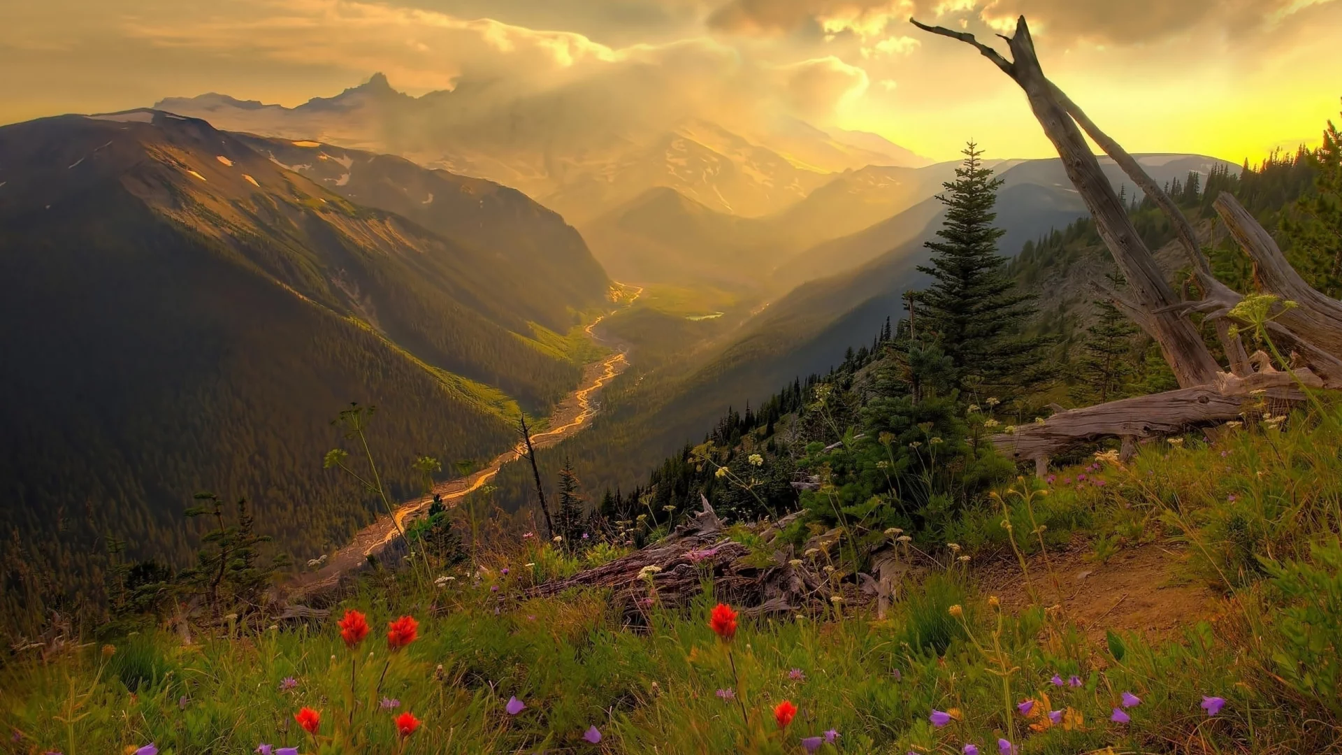 природа, nature