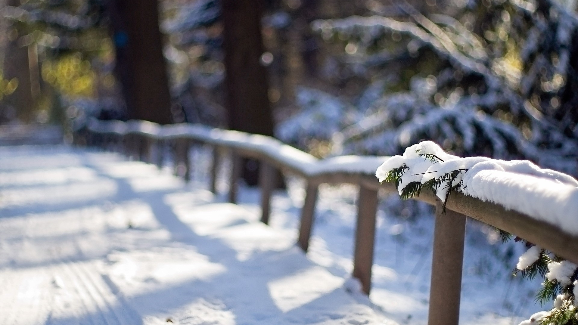 fences, , snow, path