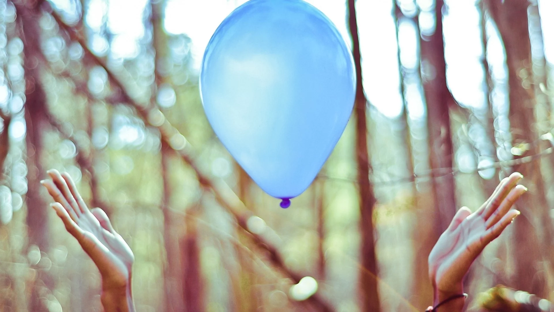 руки, воздушные шары, balloons, trees, деревья, боком, hands, bokeh, плавающие, floating