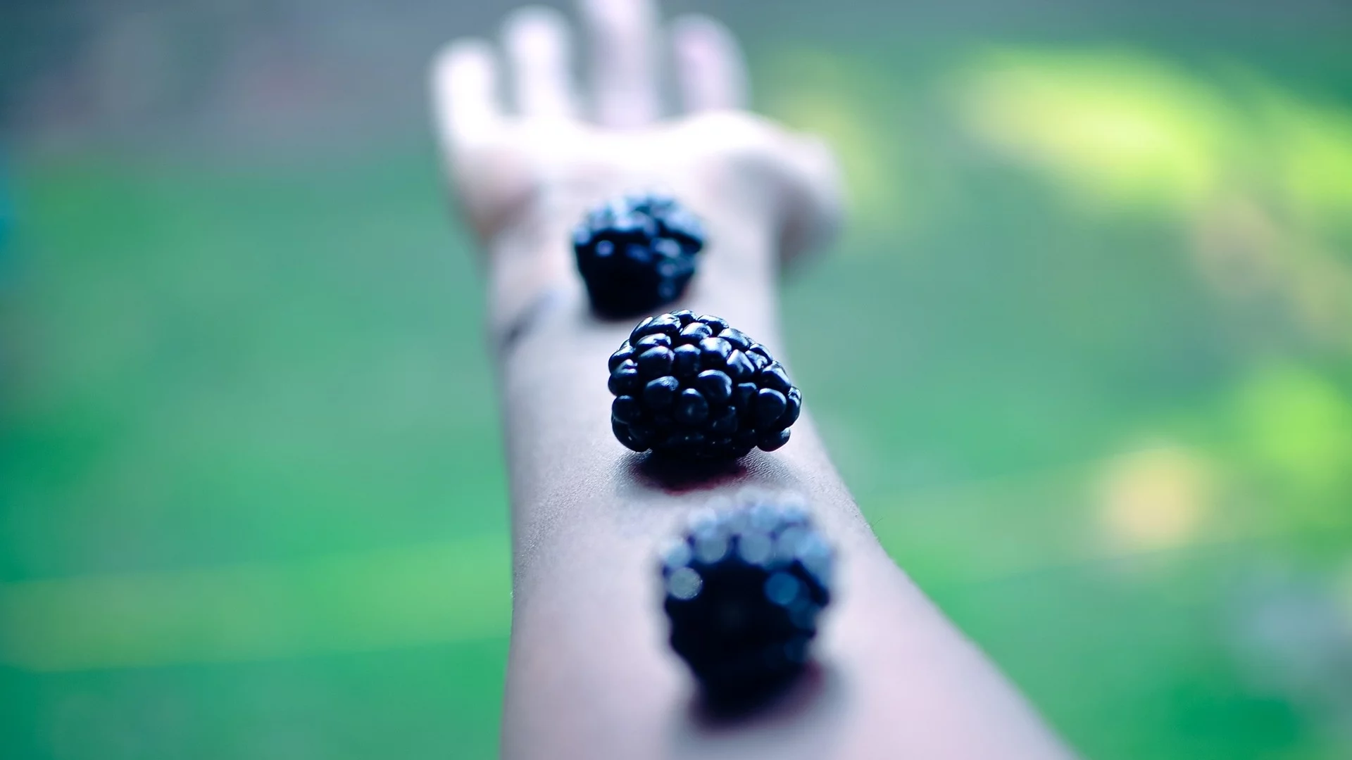 arms, ягоды, blackberries, ежевика, hands, berries, глубина резкости, оружие, руки, фрукты, fruits, depth of field
