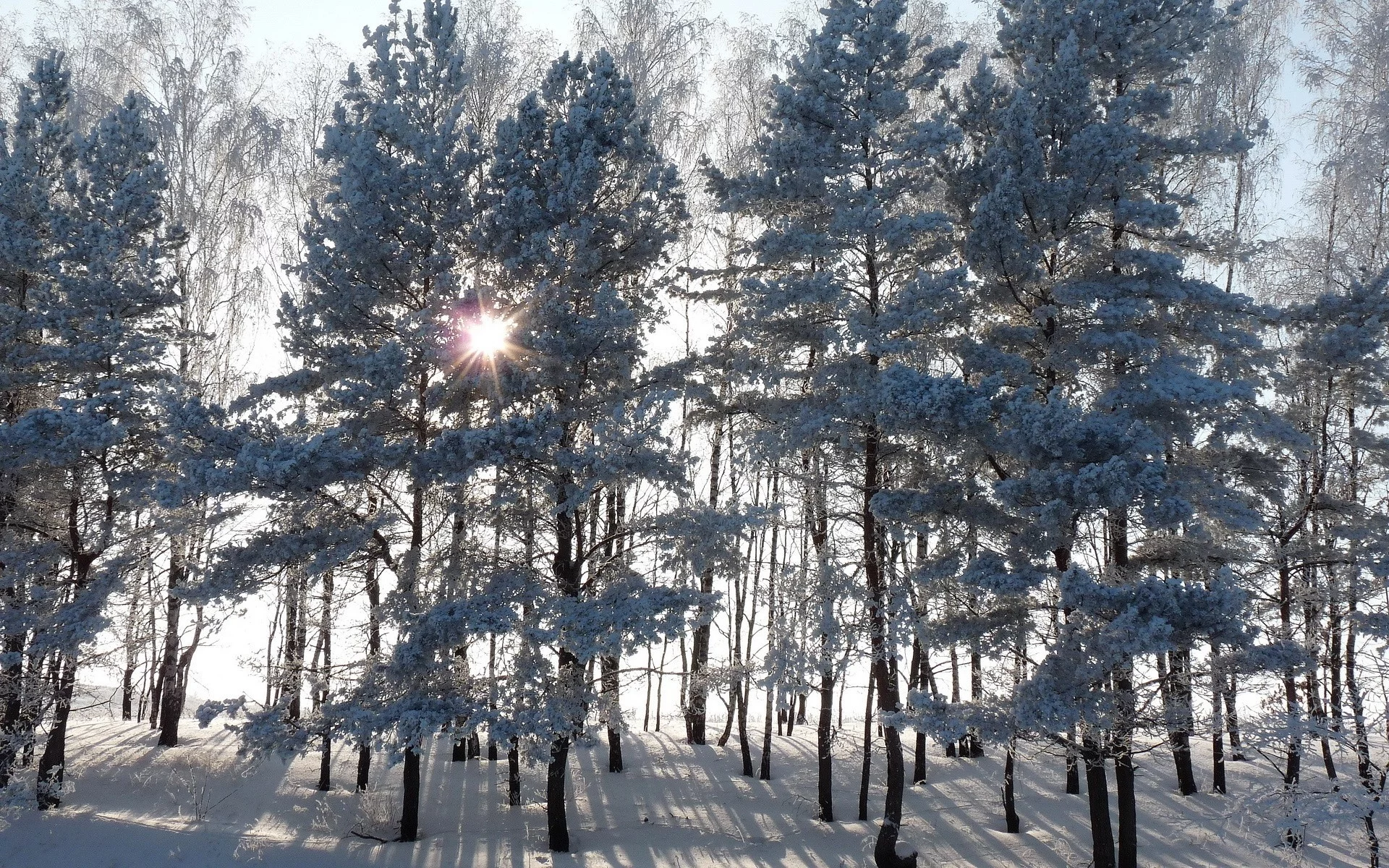 природа, nature