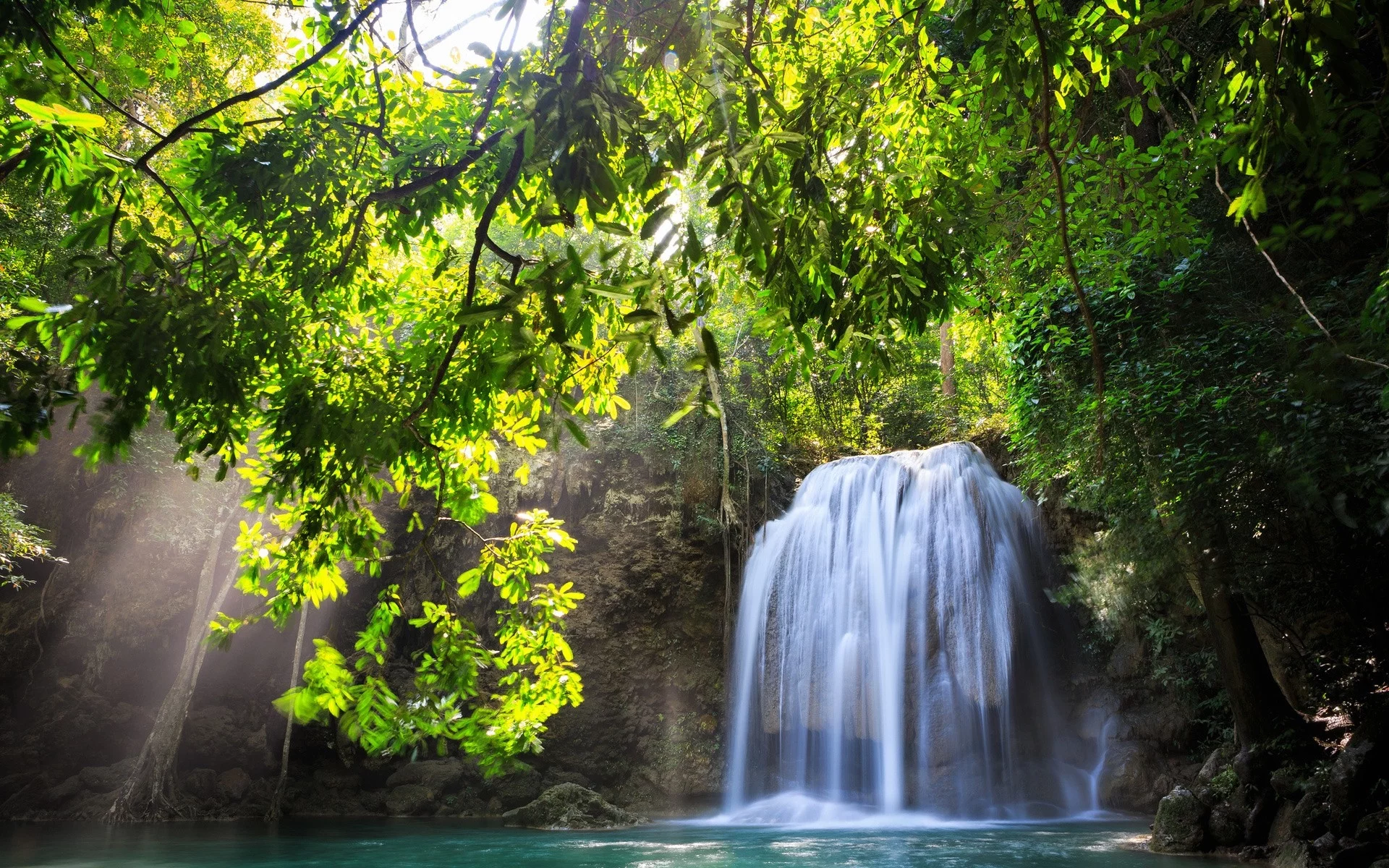 trees, , landscapes, nature, waterfalls